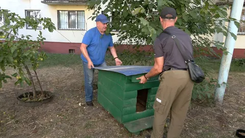 Собак з притулку в Черкасах повертають на вулицю: що це означає для власників житла