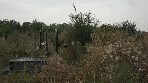 Кладовище в Довжанці заростає: у «Ритуальній службі» пояснили причину