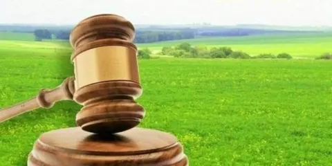 Оренда 15,5 га землі у Стрийській громаді: умови та стартова ціна