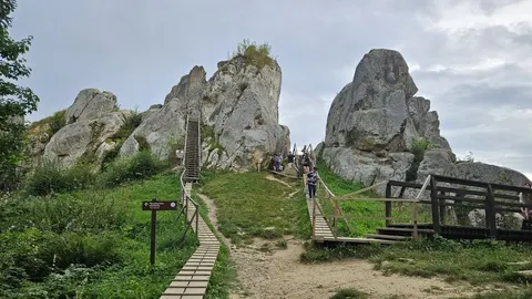 Скільки туристичного збору отримала Львівщина за серпень і куди їдуть мандрівники