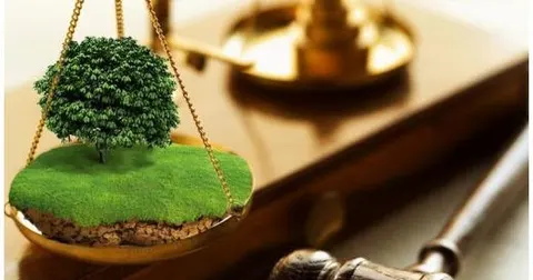 Оренда сільгоспземель на Львівщині: що пропонують громади