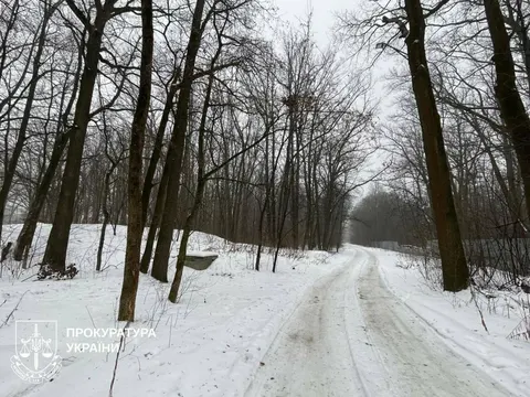Харків повертає 2 га рекреаційної землі на Батумській: суд скасував оренду
