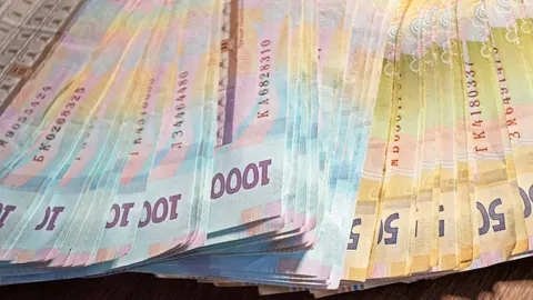 Кам'янське: підприємство заплатило 2 млн грн за землю без оренди