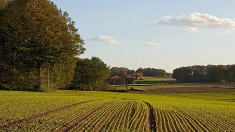 Землю без торгів на Жашківщині повертатимуть громаді через суд