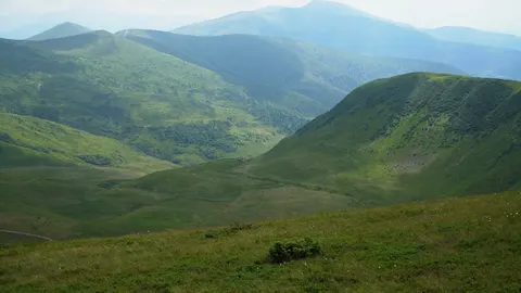 Свидовець віддають в оренду: 850 га, аукціон і ціни за сотку