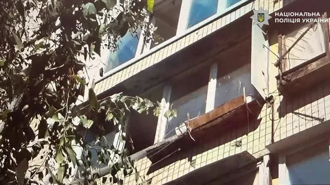 У Києві жінка викинула собаку з 4-го поверху: що загрожує орендарці