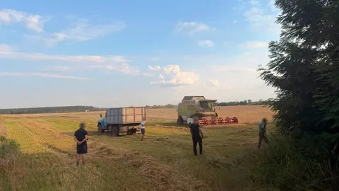 Депутат на Вінниччині понад рік обробляв чужі 100 га: суд вирішить долю землі та штрафу