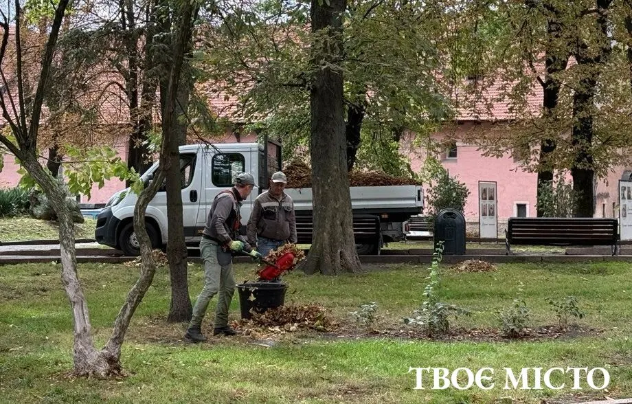 Листя у Львові збирають щодня, але двірників бракує: куди везуть і як здати самому