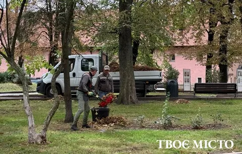Листя у Львові збирають щодня, але двірників бракує: куди везуть і як здати само