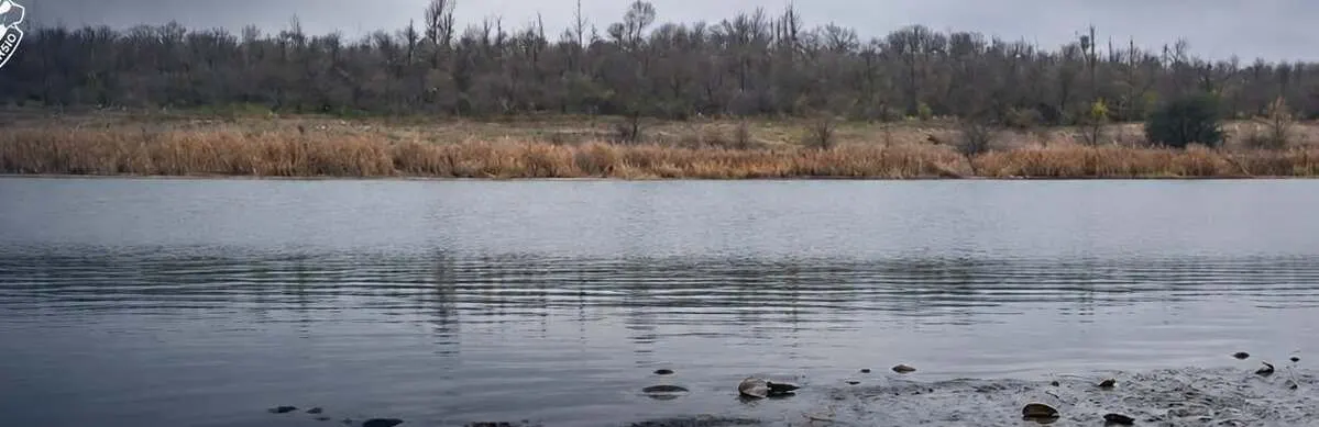 Прокуратура судиться за частину Степівського водосховища на Миколаївщині