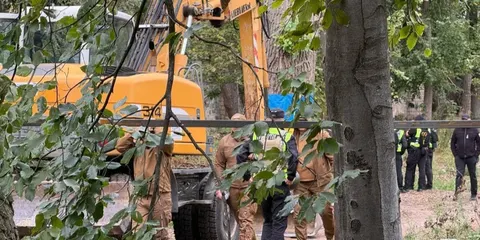 Теплотраса на Теремках: замість 200 дерев зріжуть 5–10 — КМДА