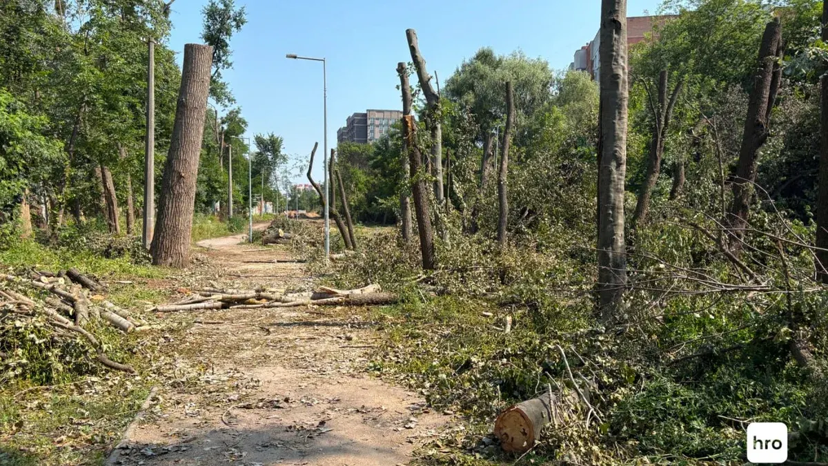 Теремки: замість нової вирубки — резервна теплотраса, під зріз підуть близько 10 дерев