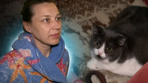 У Чернігові після удару по багатоповерхівці: 9 квартир досі без газу, 57 вікон закрили OSB-плитами