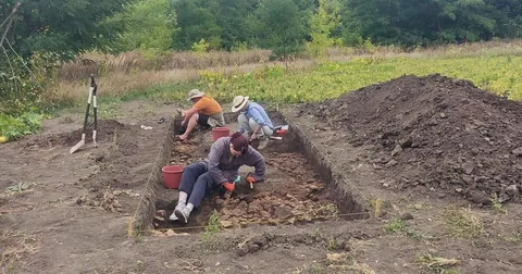 На Тернопільщині город обернувся розкопками: під землею може бути трипільське по